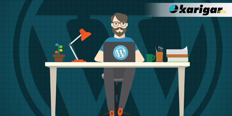 The Art of WordPress Development