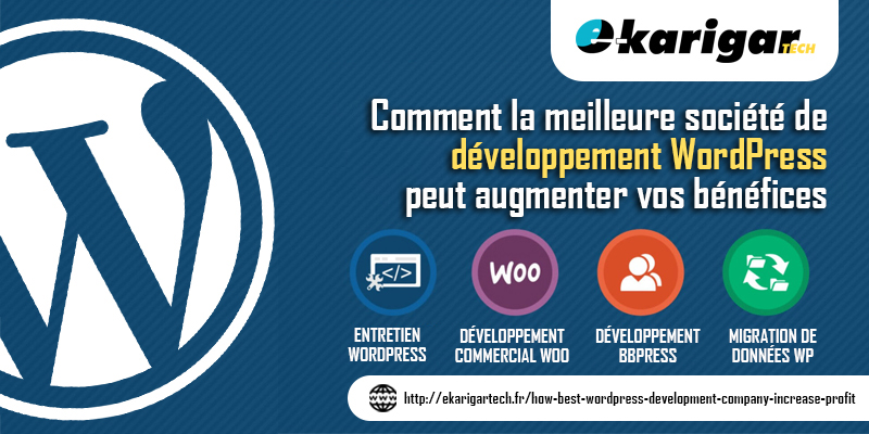 best-wordpress-development